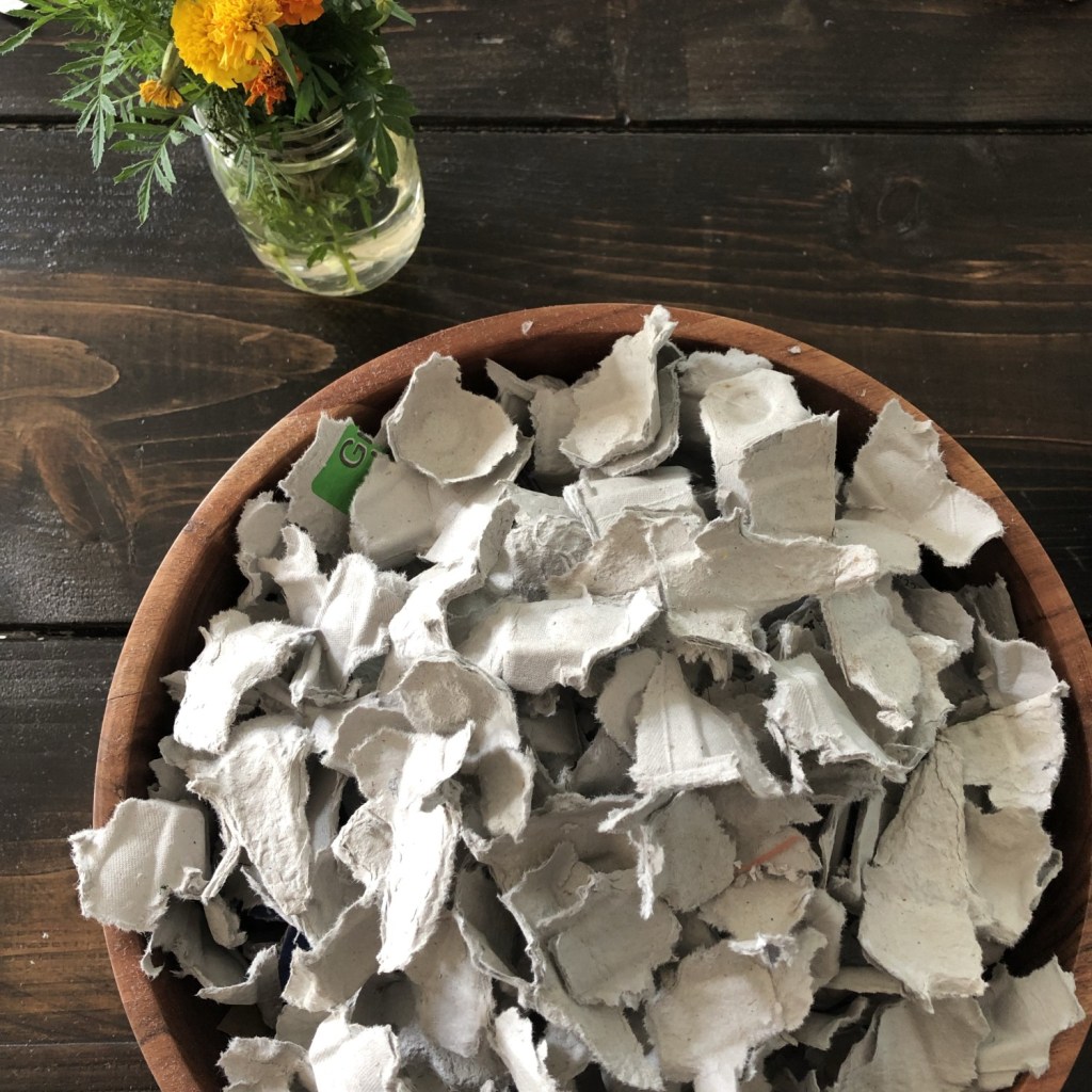 On a dining table sits perfect brown compost additions: torn egg cartons and newspaper. 