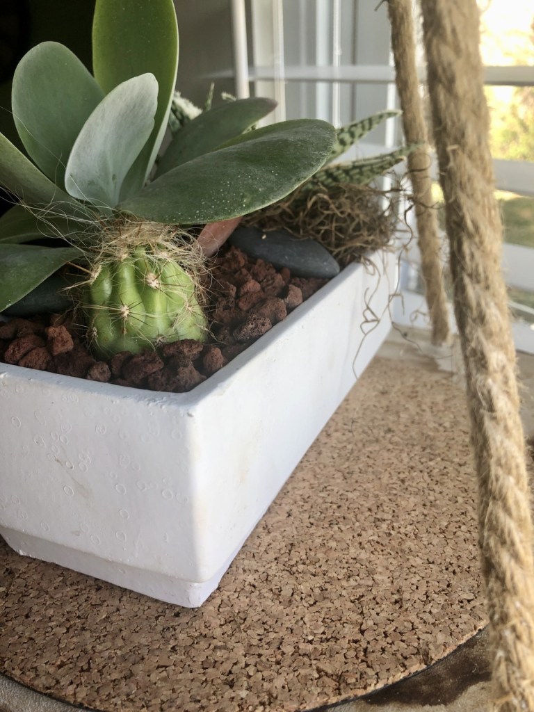 An indoor succulent garden sits in a bay window of a cottage.