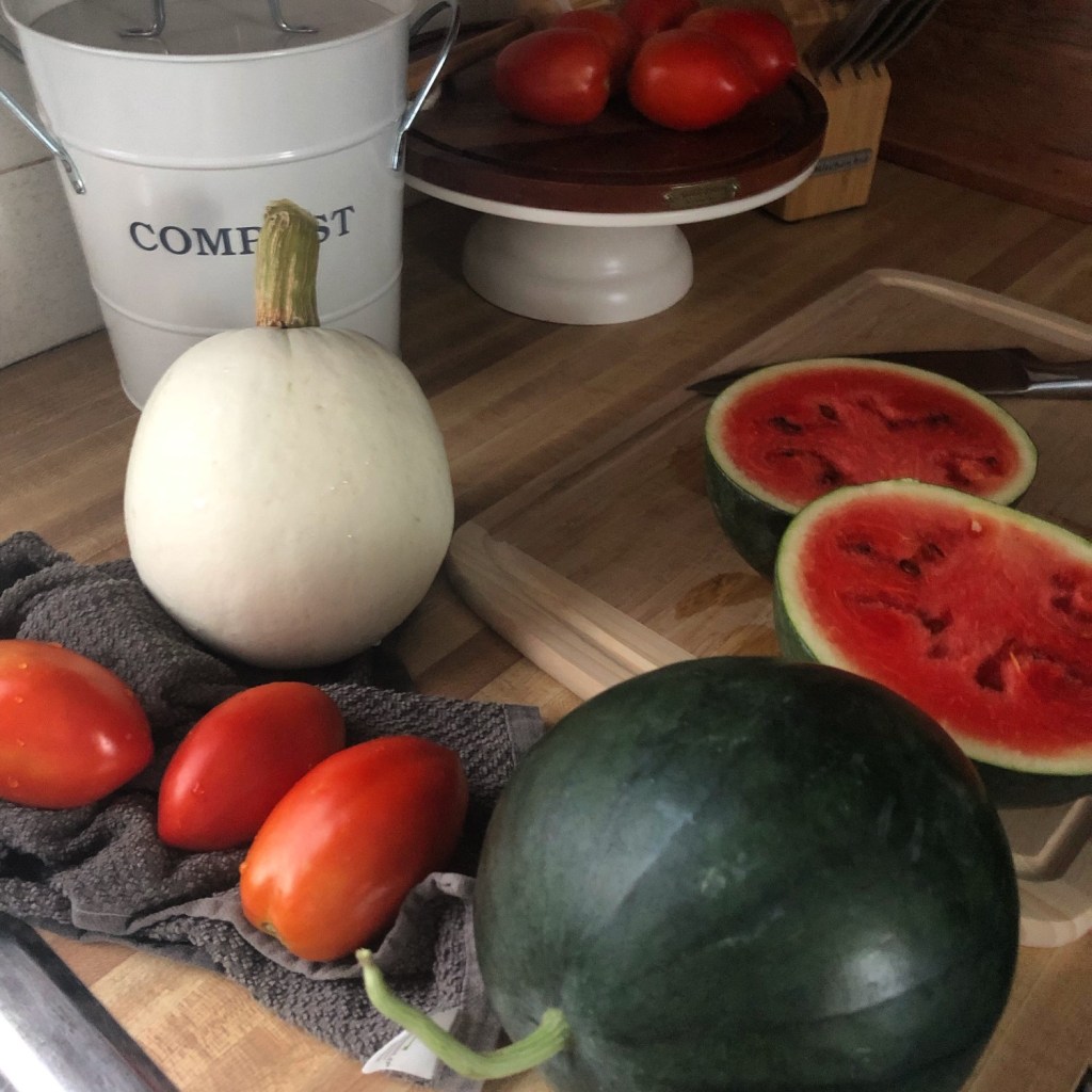 An array of watermelons, tomatoes, and pumpkins sit on a countertop.