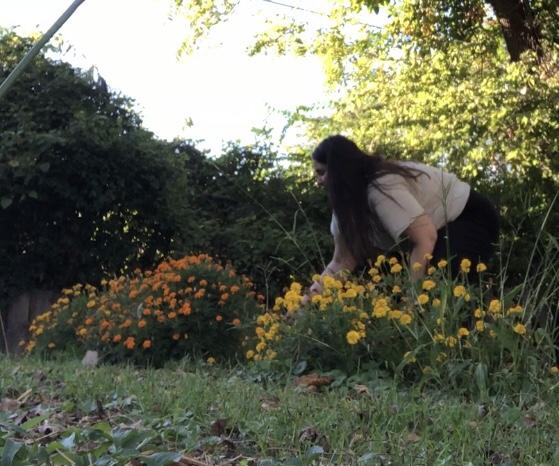 A woman demonstrates some of her beginner gardening tips with her marigolds in her garden.
