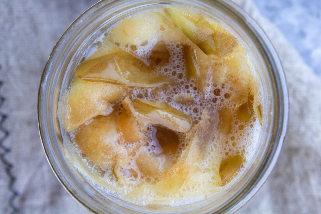 A woman learns how to make apple cider vinegar with/from scraps by fermenting apples in a jar with water and sugar for days. Pictured is a bubbly jar of fermented apples.