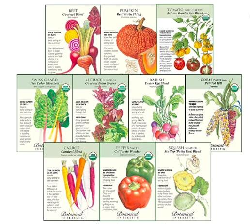 Packages of different gardening seeds are shown.