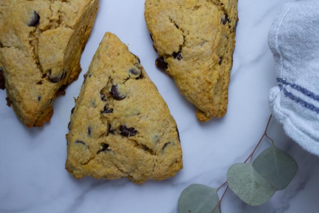 Pumpin chocolate chip scones are lined up next to a eucalyptus leaf.