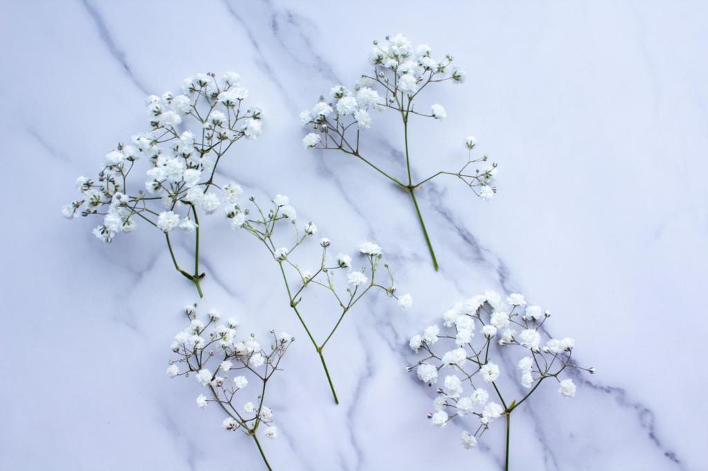 Pieces of baby's breath lay on a countertop for making a dried flower crown.