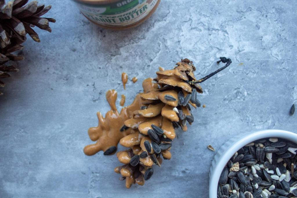 A pine cone is slathered in peanut butter and rolled into birdseed.