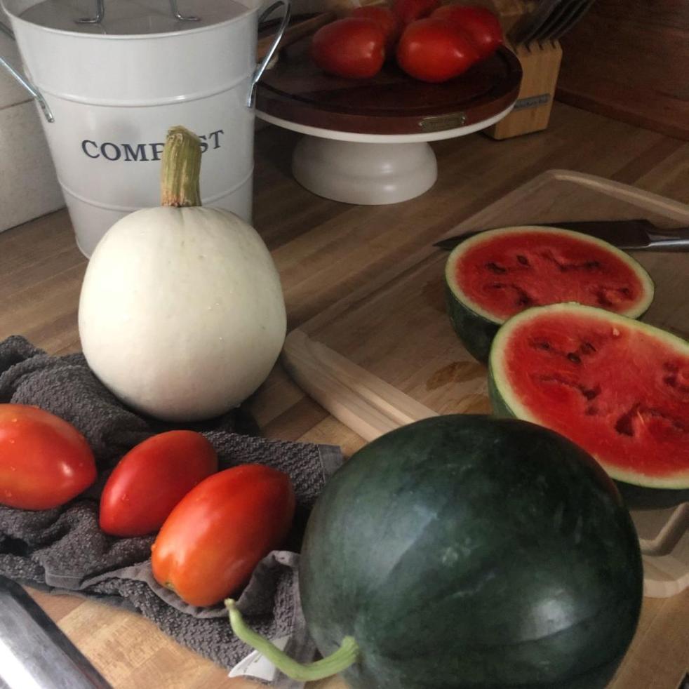 An array of watermelons, tomatoes, and pumpkins sit on a countertop.