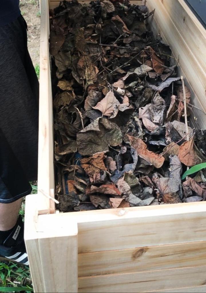 A garden bed gets a layer of dried leaves added on top.