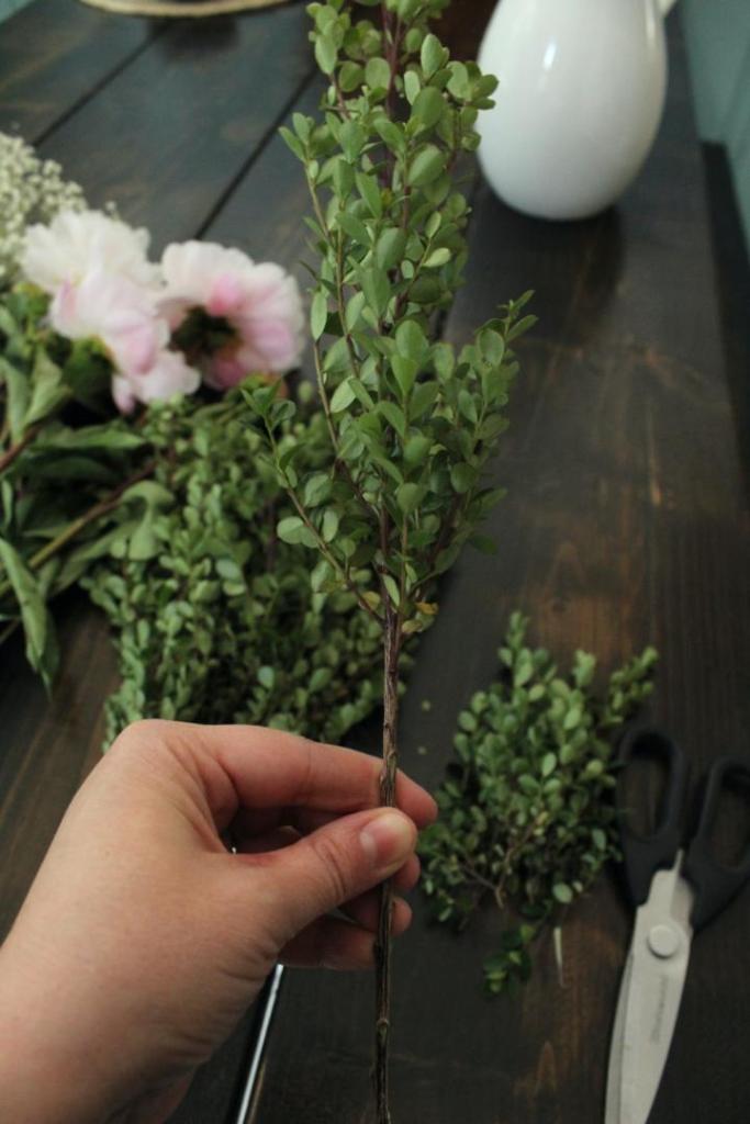 A woman holds up a piece of greenery to show trimmed leaves.