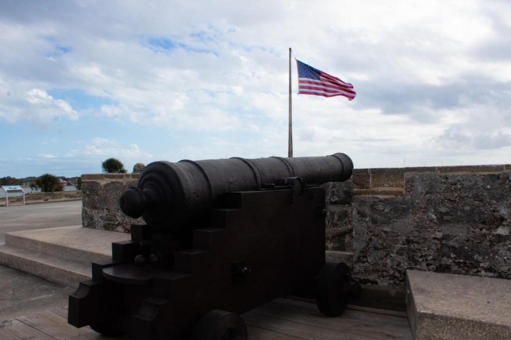 Cannons are shown in front of an American flag.