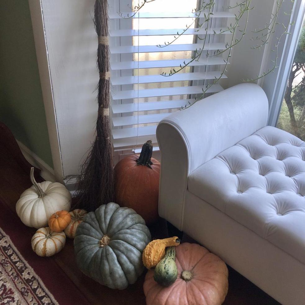 A variety of pumpkins and a witch's broom lay near a cushioned bench in a bay window.