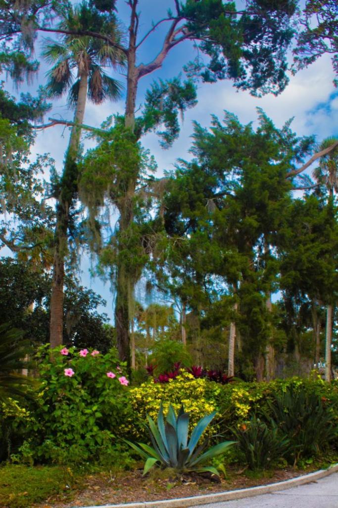 A garden area is vibrant in the sunshine.