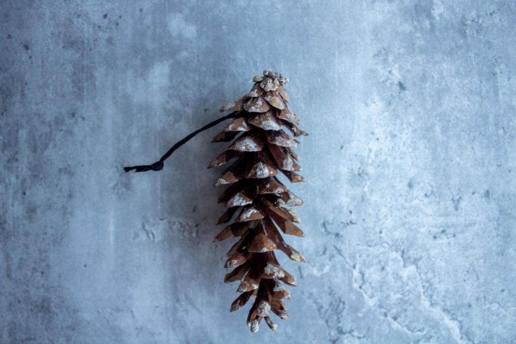 String is wrapped and tied around a pine cone for a DIY pine cone bird feeder.