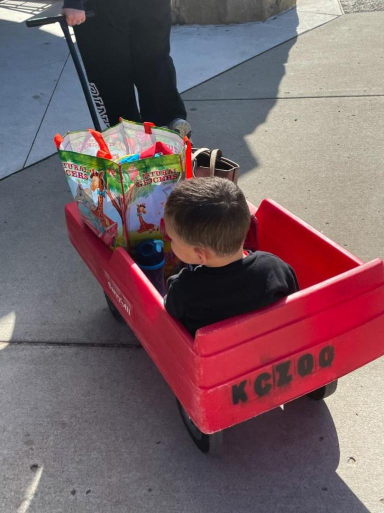A woman pulls a small boy in a wagon at the zoo.