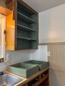 Old cabinets have paint applied to them in a sage green.