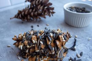 A DIY pine cone bird feeder is ready to be hung outside.