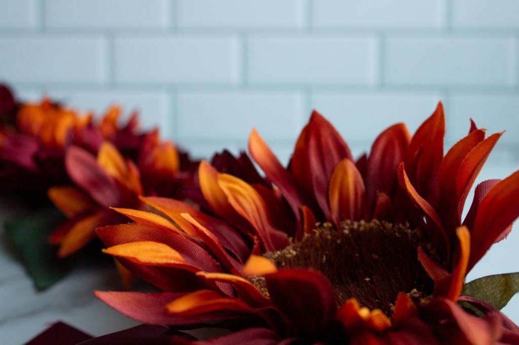 Beautiful sunflowers are vibrant in burgundy and rust.