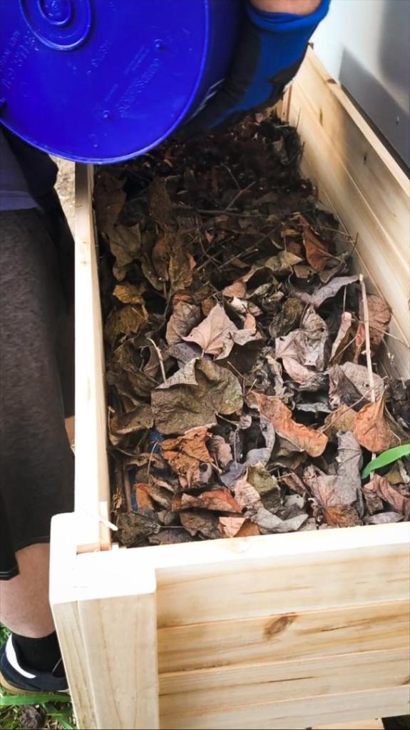 A man pours compost into a garden bed.