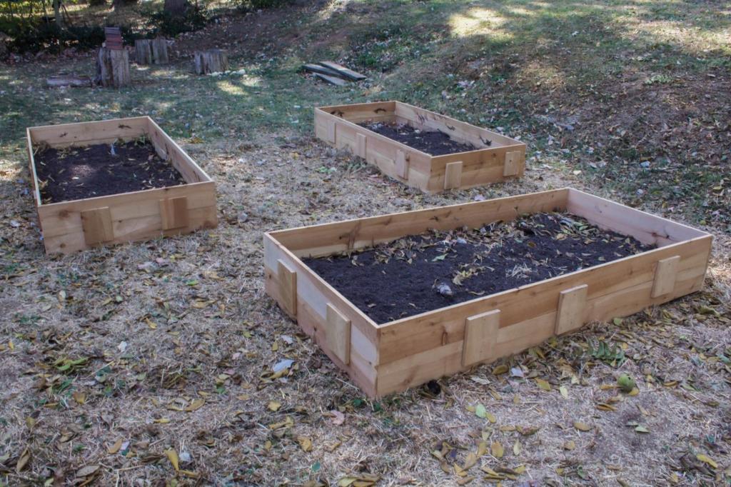 Raised garden beds are filled and layered after being built and are arranged in a square.