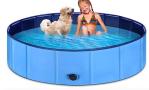 A swimming pool is shown with a child and a dog in it.